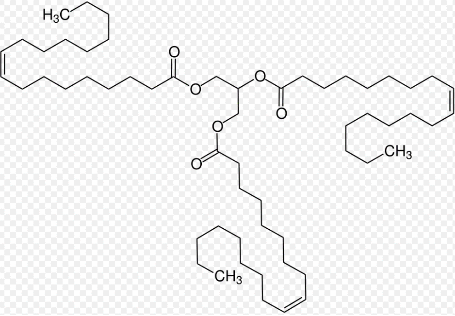 Phản Ứng Giữa Triolein và Brom (Br2) - Khám Phá Cùng Brite Costa Rica