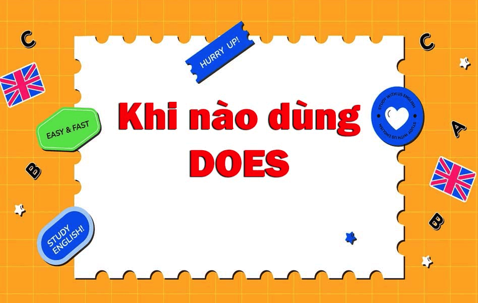 Lý giải Khi Nào Dùng Do và Does Trong Tiếng Anh?