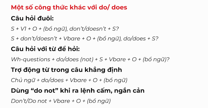 Một số ví dụ thực tế giúp bạn hình dung rõ hơn về cách sử dụng Do và Does